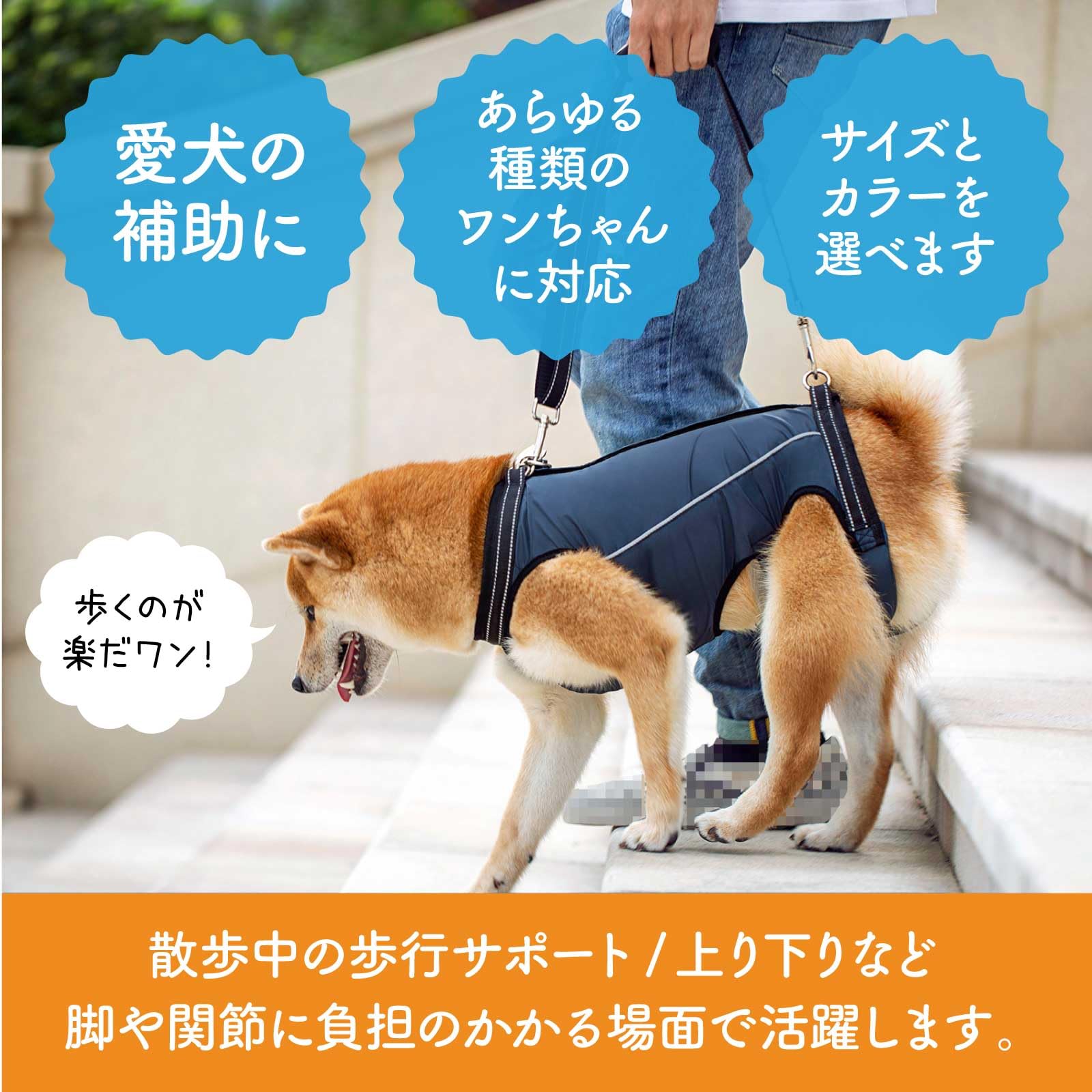 Amazon | Funriche 犬 ハーネス リード セット 歩行補助 ペット 用品